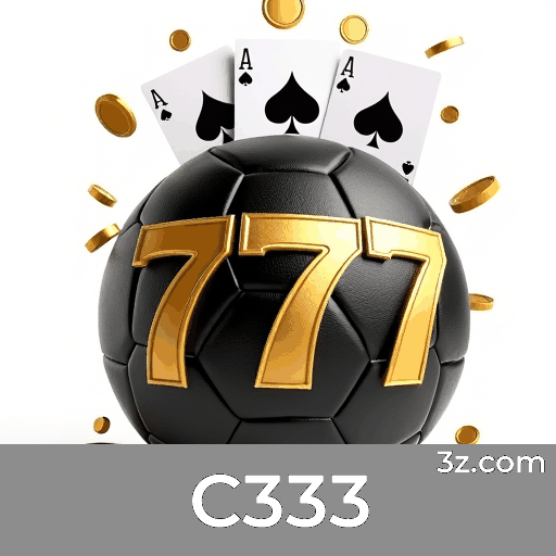 C333 Logo